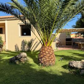 Villa Green Garden, Hotel in Metaxáta