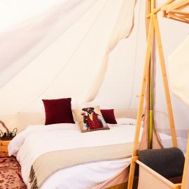 bosco glamping, hotel 