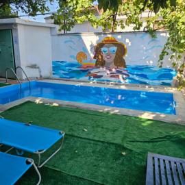 Traveler Hostel 2