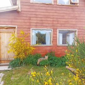 La Joaquina, Casa de montaña., viešbutis mieste El Čaltenas