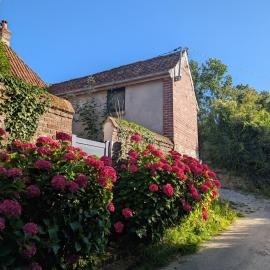 La cachette de Lola