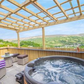 Hoglet Cottage, Hotel in Ammanford
