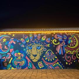 Zizi Home Vibes, hotel u gradu Chapada dos Guimaraes