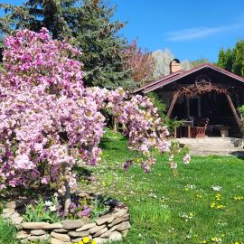 Pension Anastasia