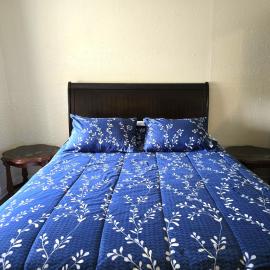 Capitol Suite, hotel pri Niagarských vodopádoch