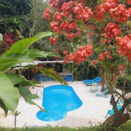 Plaza Tucanito - jungle up your life: Cahuita'da bir otel