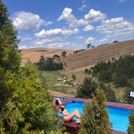 Zlatibor Wild nest Rabbit Lux