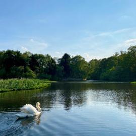 Lake View Lincoln