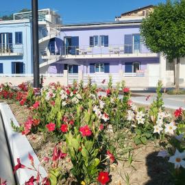 Fronte mare alba chiara - Apulia Houses & Flats - Ecosostenibile !