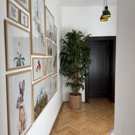 Nature-Inspired Stay in Piata Sfatului Brasov