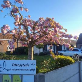 DHofstede vakantiewoning