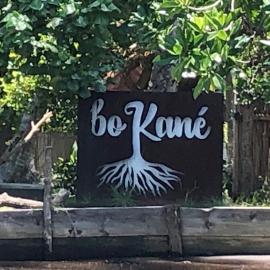 Bokané、Boca del cieloのホテル