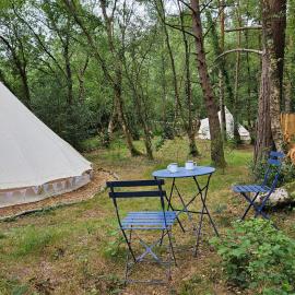 Bovey Heath Retreat, hotel in Bovey Tracey