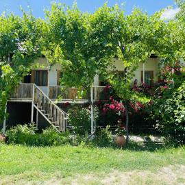 Guest House Aleksandre, hotell sihtkohas T'mogvi