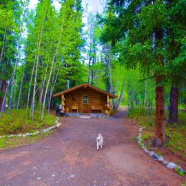 Carlo Creek Cabins, hotel u gradu 'McKinley Park'