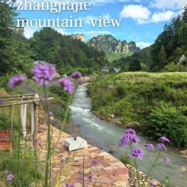 Xiangzixi Homestay-Inside the Park-no queues Enter-English Service-free Tour Itinerary Planning