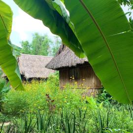 Saigon Garden Homestay