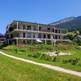 SINGULAR - Mountainview Apartments, hotel in Bad Goisern