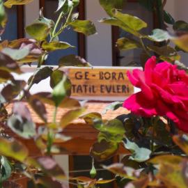 Gebora Suits & Tatil Evleri, hotel in Palamutbuku