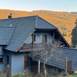 Apartmán U Vachtů - První Patro