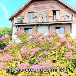 gîte des 1000 étangs, hotel in Saint-Bresson