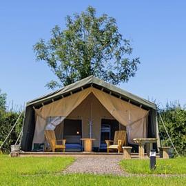 Glamping Safari Style、ロスコモンのホテル