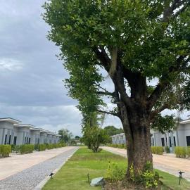 กลางนา รีสอร์ท, hotel v destinaci Thang Kwian