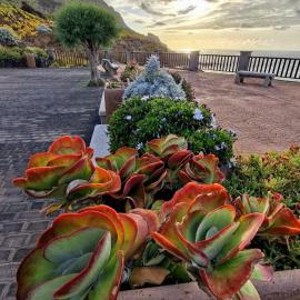 Riegos de Lino, hotel a Barlovento