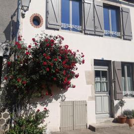 Maison de charme avec jardin clos et animaux admis à Charroux - FR-1-489-538
