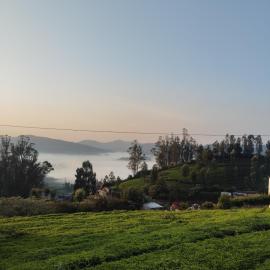 Valley homes