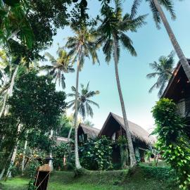 Ubud Jungle Stay - Mahari by WAHM, hotel v Ubude