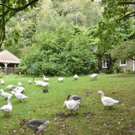 Keeper's Cottage, Hotel in Crowborough