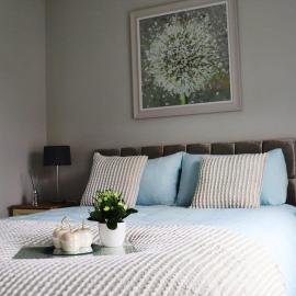 Last-Minute Escape l The Grey Door 2 Bed Cottage Banbridge Parking Private Garden l Nestled Property Management, hotel a Banbridge