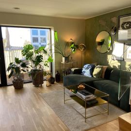 Contemporary and Luxurious
