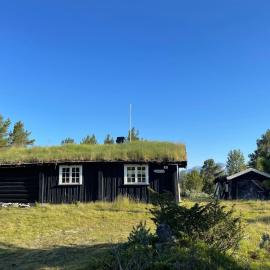 Maurtua - cabin in lovely surroundings, hotel a Kvam