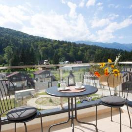 Cozy Nook Sinaia
