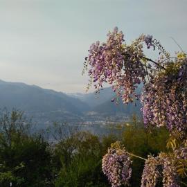 Sun, fun & relaxation, the Ticino for you!
