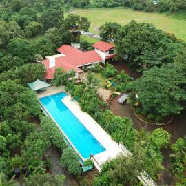 StayVista's Casa Palmera - 6BHK Pet-Friendly Villa with Private Pool