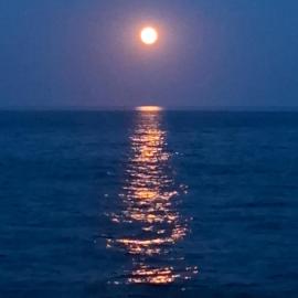 Le rivage