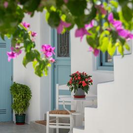 Stella's Alley House