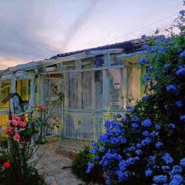 Le Rondini, Hotel in Montecosaro