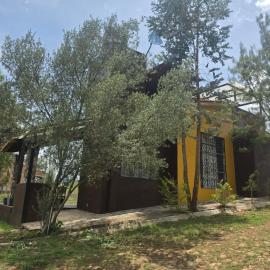 Cabaña Eucalipto 32