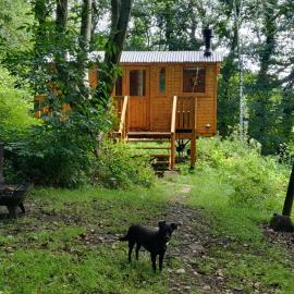 Peggy's Cabin in the Woods, hotel in Hebden Bridge