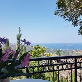 Villa Petri: Petra'da bir otel