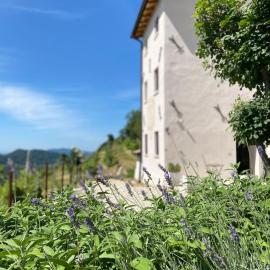 Casa Colli Impervi, hotel sa Combai