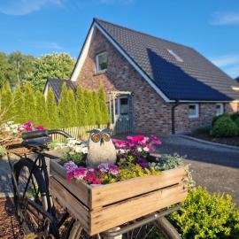 Eulennest Emsland, hotell i Dersum