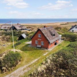 516-Hvide-Sande-Hareklit-4