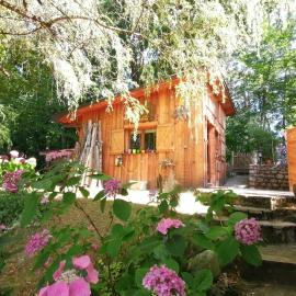 Cabane en forêt