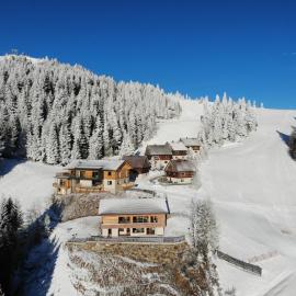 MoselebauerAlm, hotel em Klippitztorl