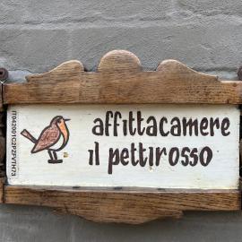 Il Pettirosso